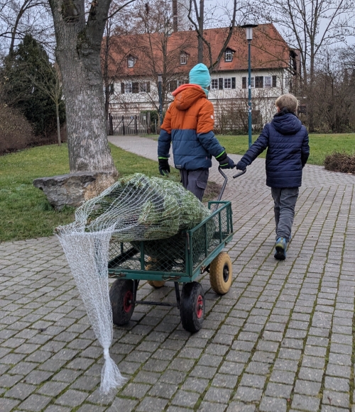 2025 Baumverkauf4 klein