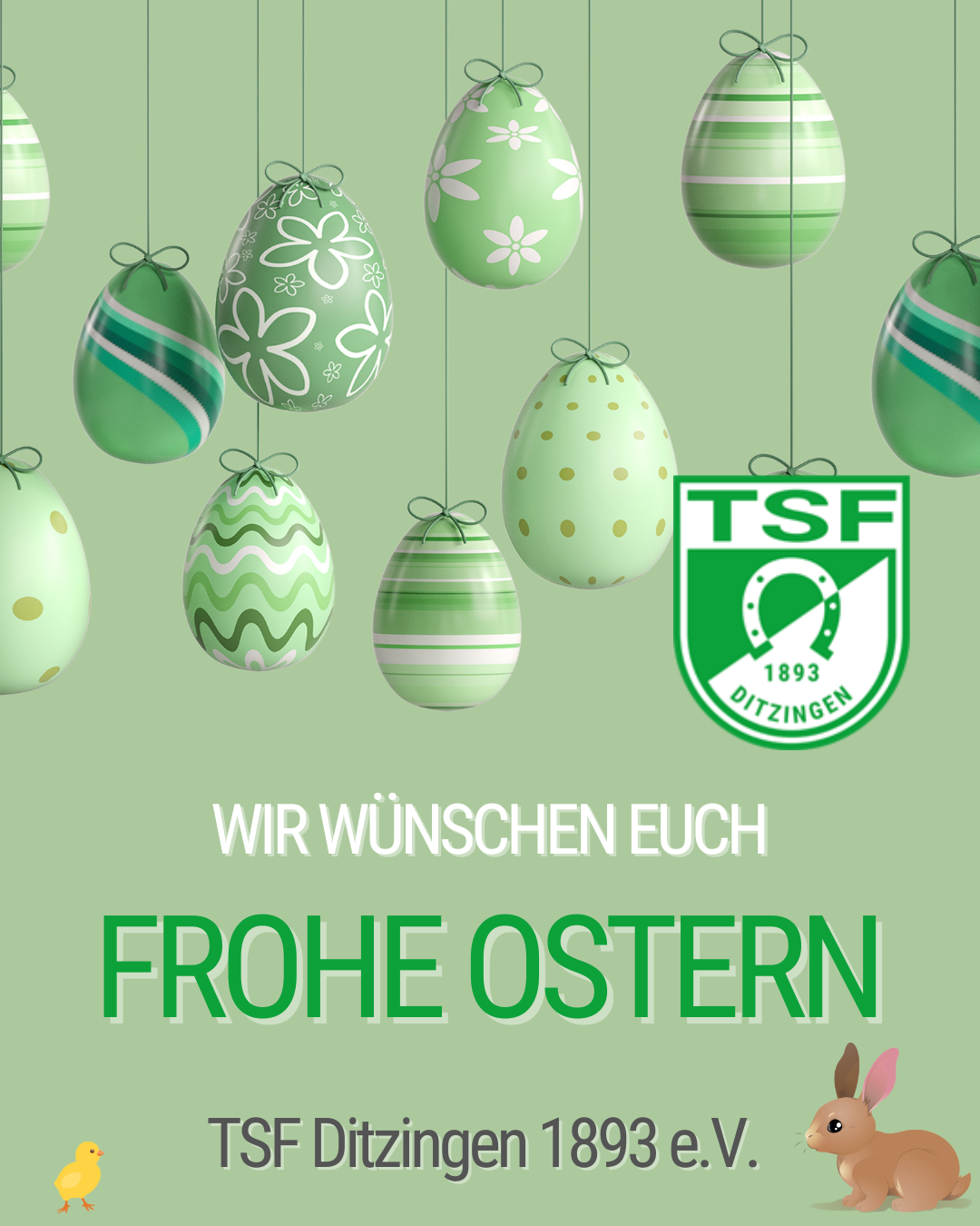 TSF Ditzingen 1893 e V. 20260404 190749 0000