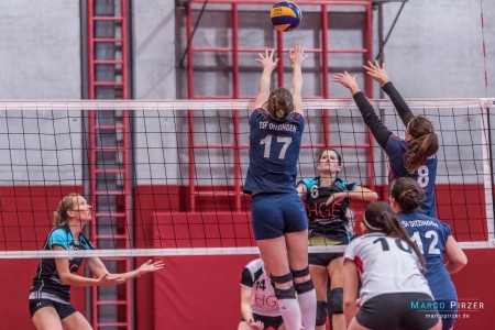 volleyball-damen2