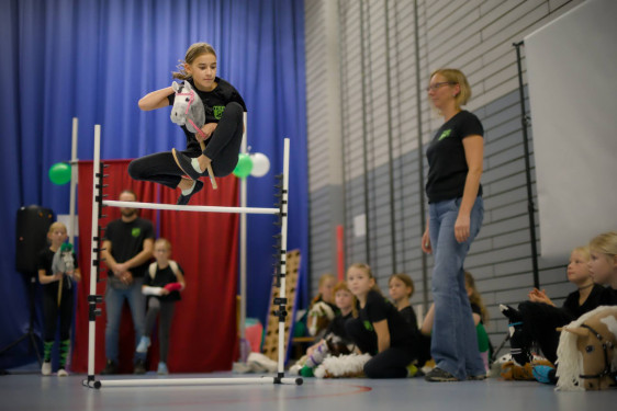 HobbyHorsing par excellence