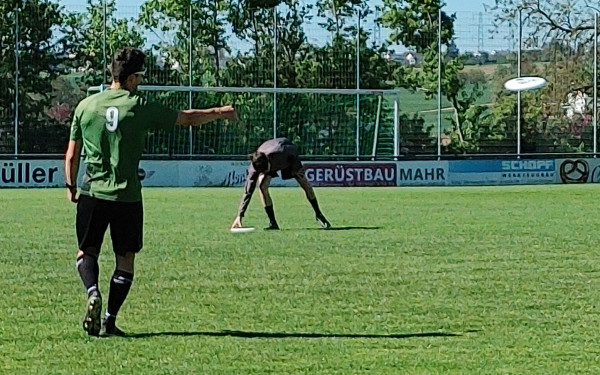 Frisbee
