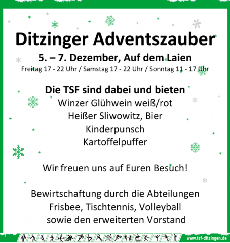 Ditzinger Adventszauber 2025 