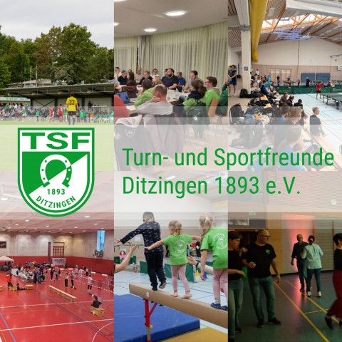 Immer bestens informiert – mit dem WhatsApp-Kanal der TSF